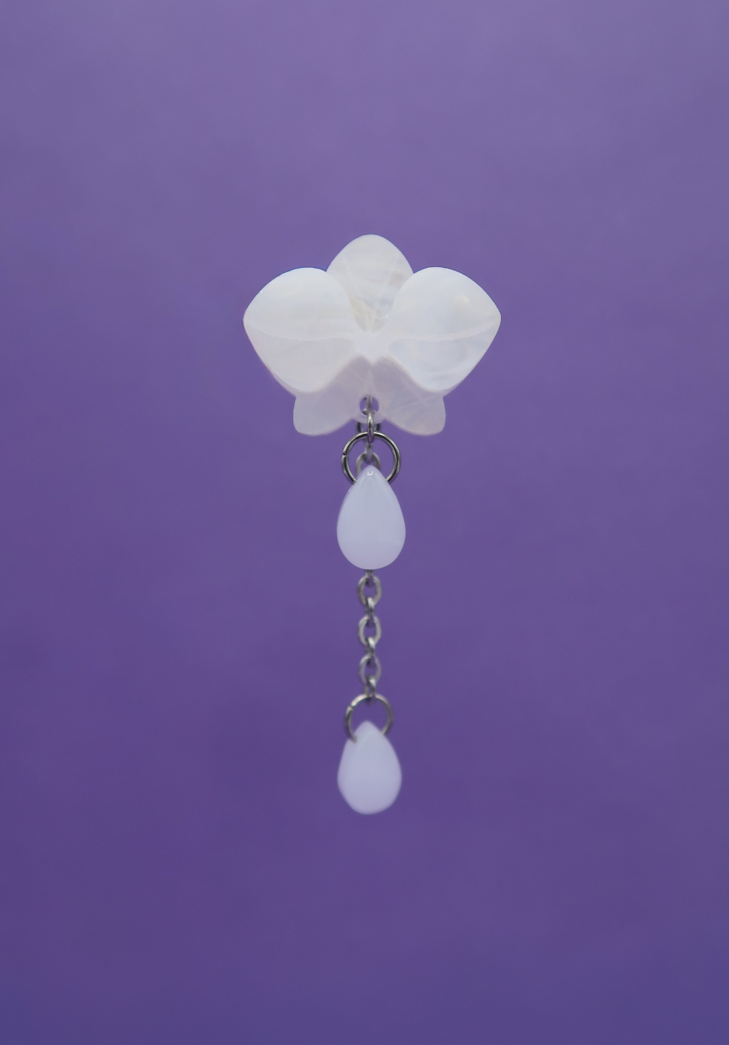 MINIORQUIDEAS │ blancas