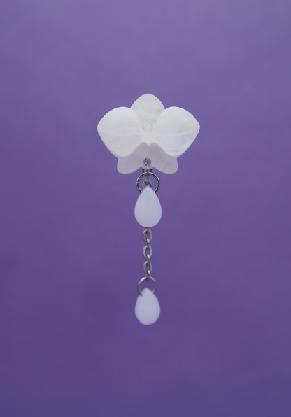 MINIORQUIDEAS │ blancas