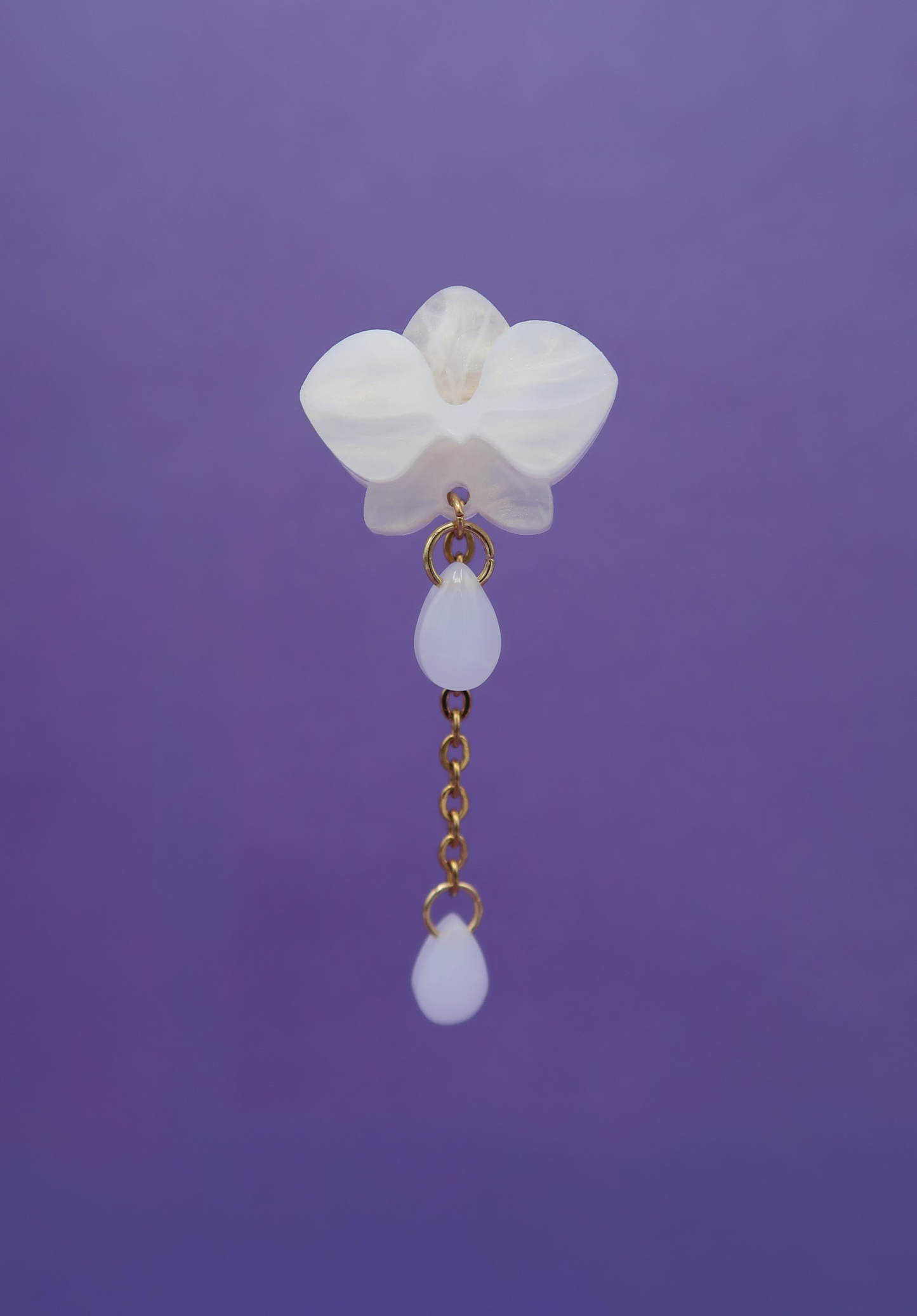 MINIORQUIDEAS │ blancas