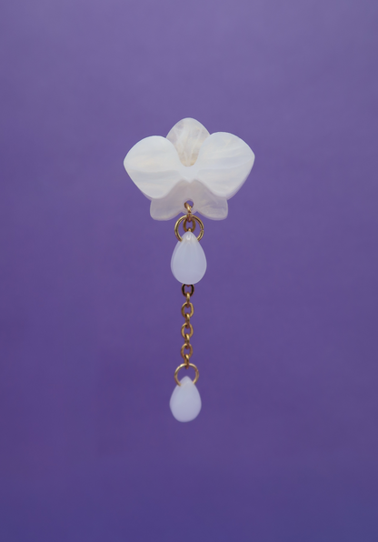 MINIORQUIDEAS │ blancas