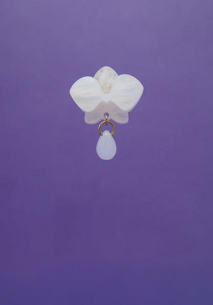 MINIORQUIDEAS │ blancas