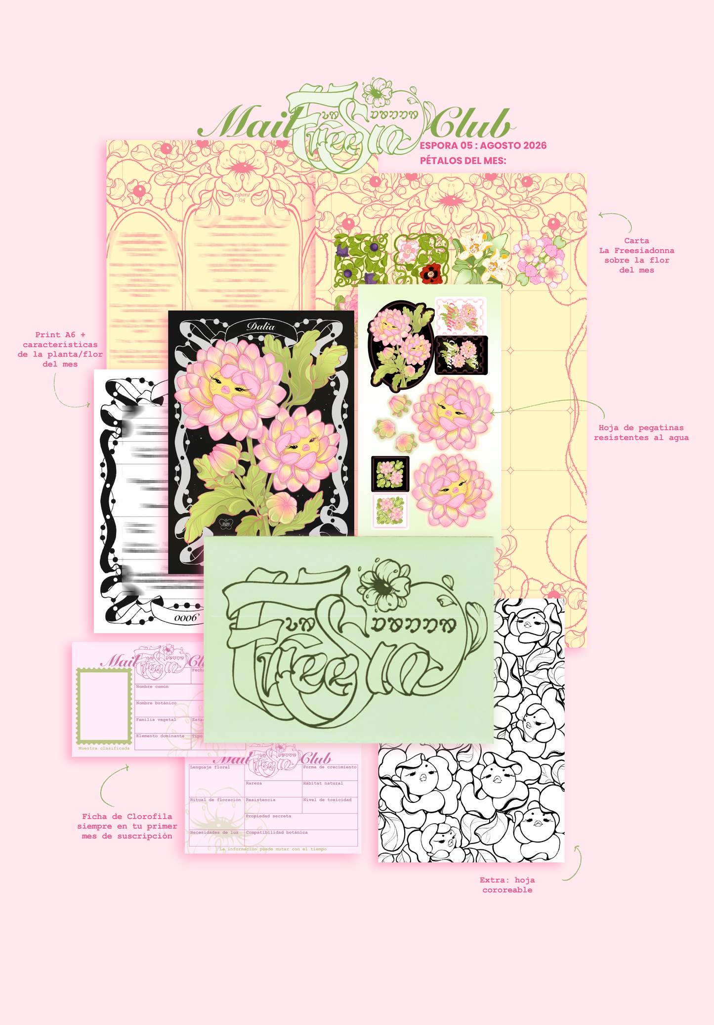 MAIL CLUB │ La Freesiadonna