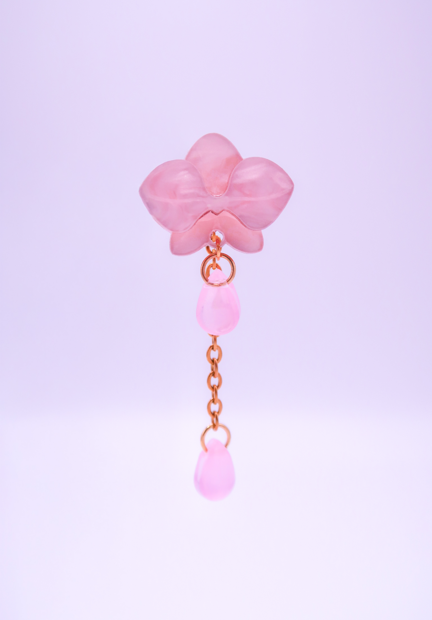 MINIORQUIDEAS │ rosas