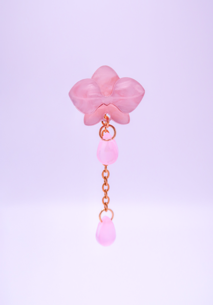 MINIORQUIDEAS │ rosas