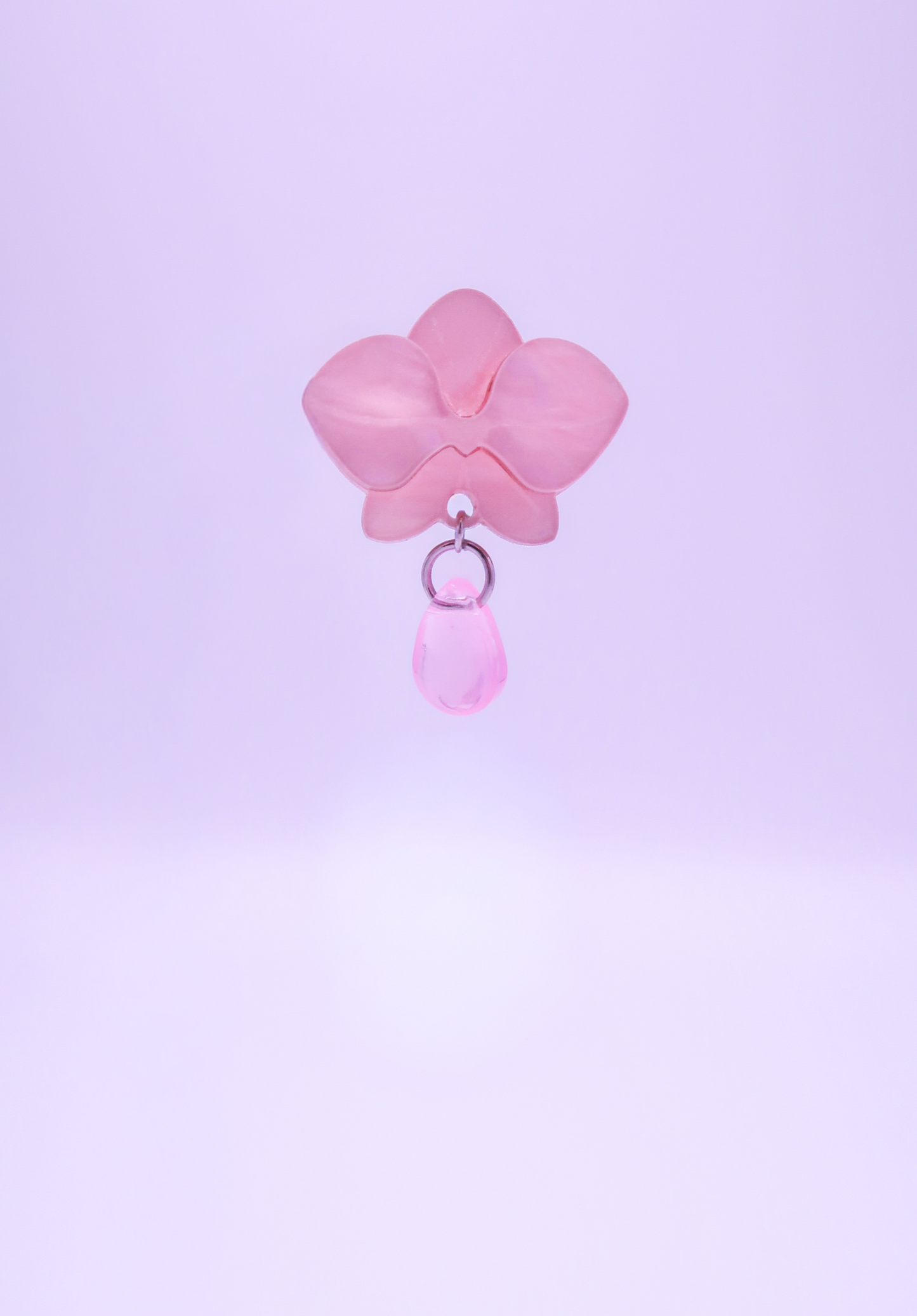 MINIORQUIDEAS │ rosas