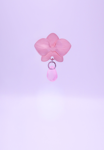 MINIORQUIDEAS │ rosas