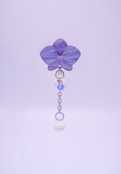 MINIORQUIDEAS │ azul