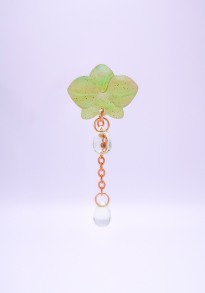 MINIORQUIDEAS │ verdes