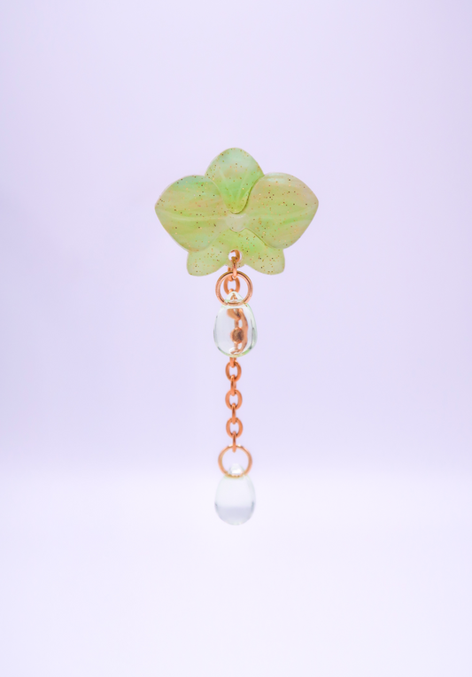 MINIORQUIDEAS │ verdes