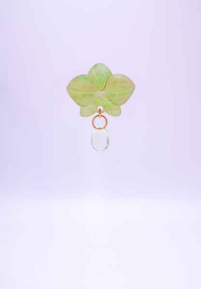 MINIORQUIDEAS │ verdes