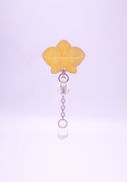 MINIORQUIDEAS │ amarillas