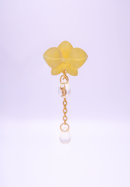 MINIORQUIDEAS │ amarillas