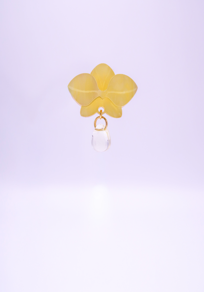 MINIORQUIDEAS │ amarillas