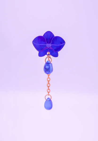 MINIORQUIDEAS │ azul eléctrico