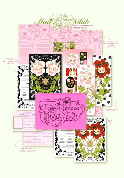 AMAPOLA 02 MAYO │ MAIL CLUB