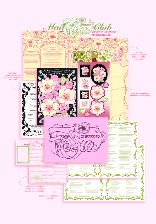 HOYA CARNOSA 04 JULIO │ MAIL CLUB