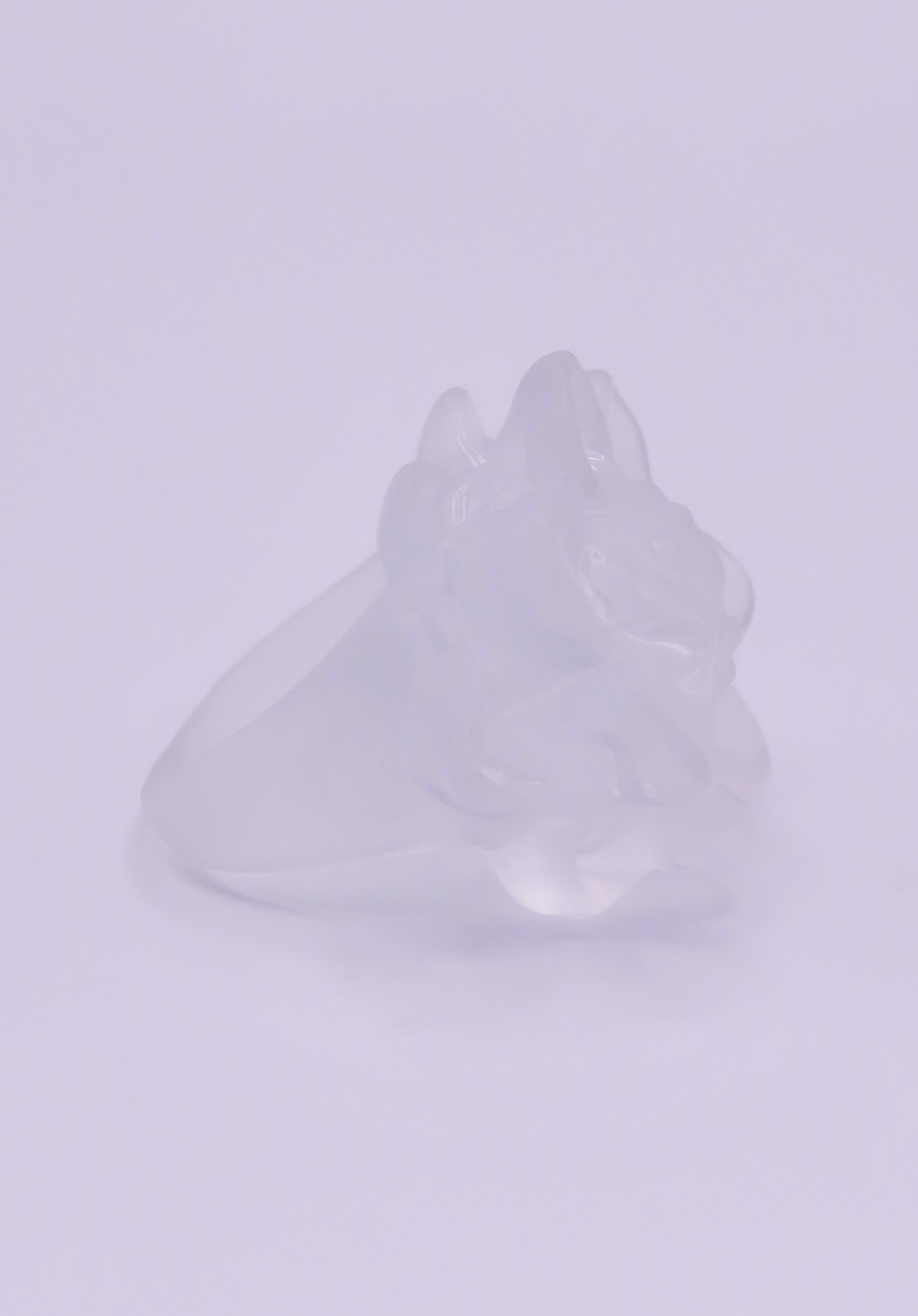 AURORA MATE │ anillo