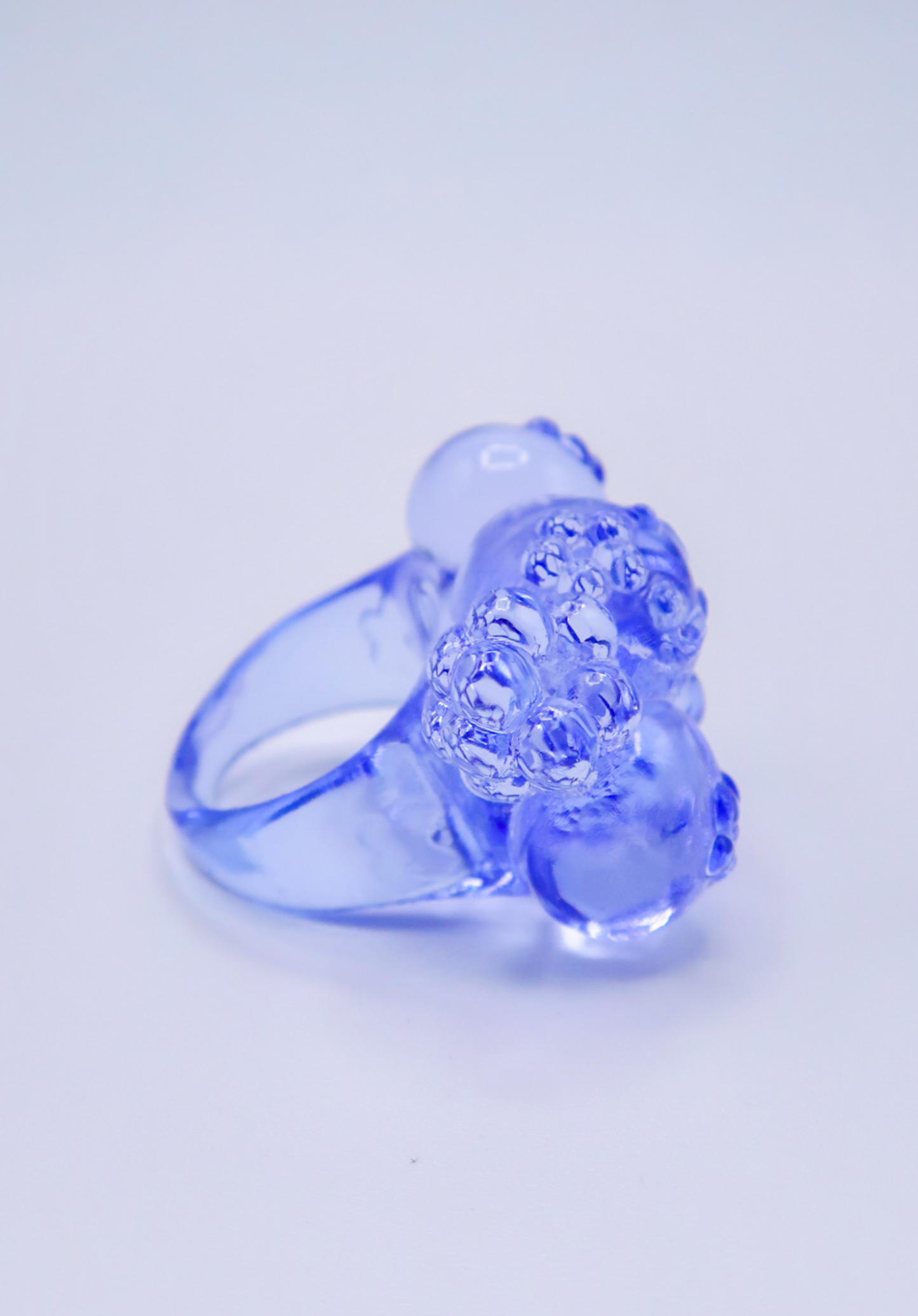 COMPOTA DE ARANDANOS │ anillo